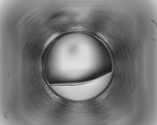 X0000095521458200712140858