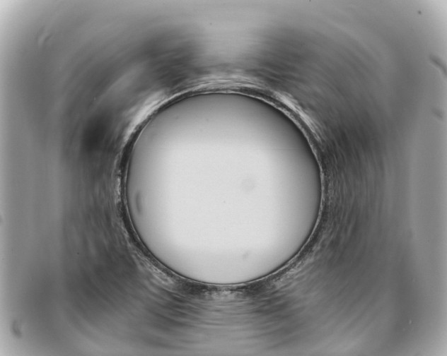 X0000095521459200712140858