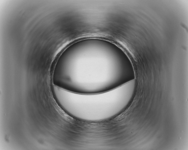 X0000095521460200712140858
