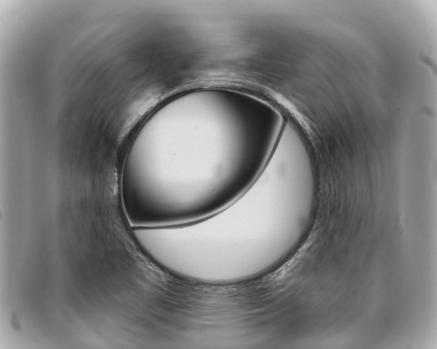 X0000095521461200712140858