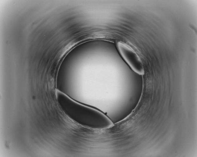X0000095521465200712140858