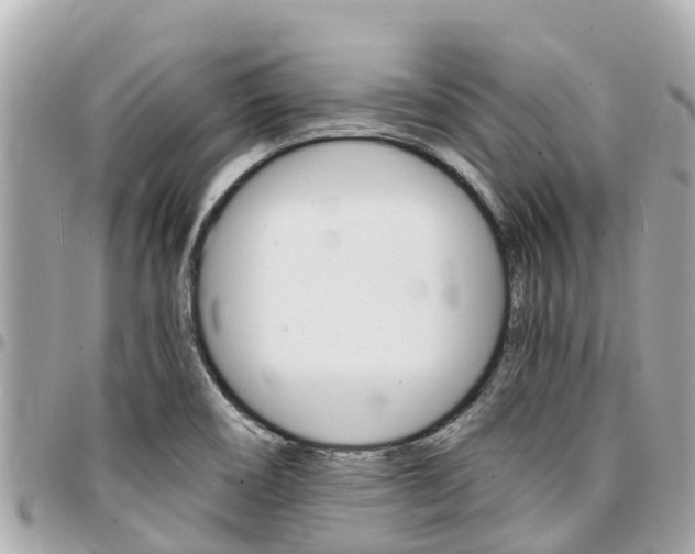 X0000095521466200712140858