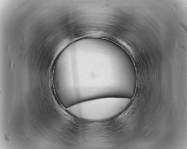 X0000095521467200712140858