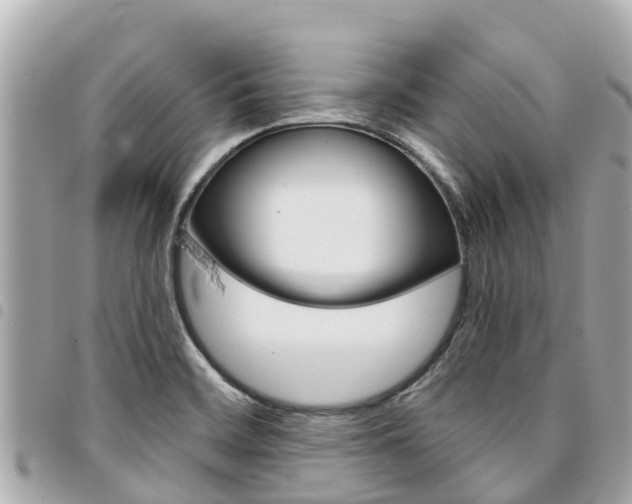 X0000095521468200712140858
