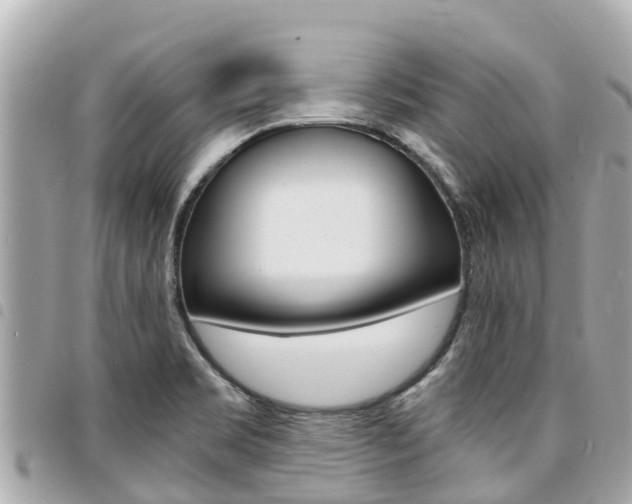 X0000095521469200712140858