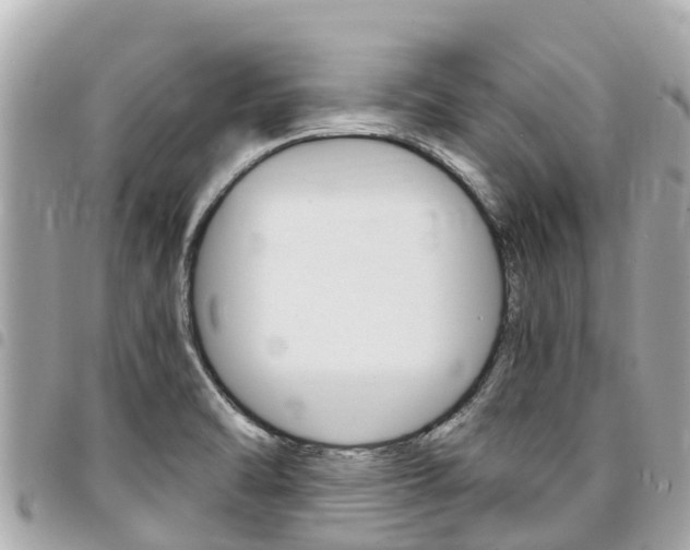 X0000095521470200712140858