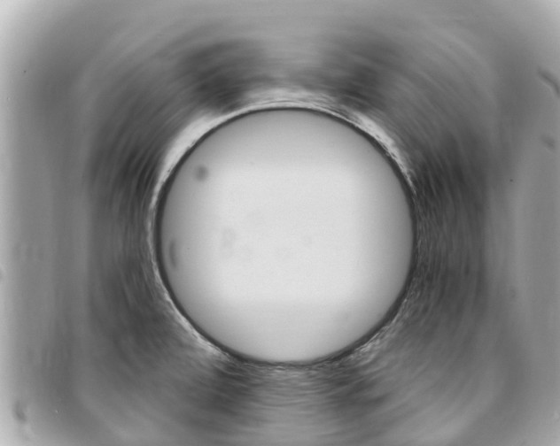 X0000095521472200712140858