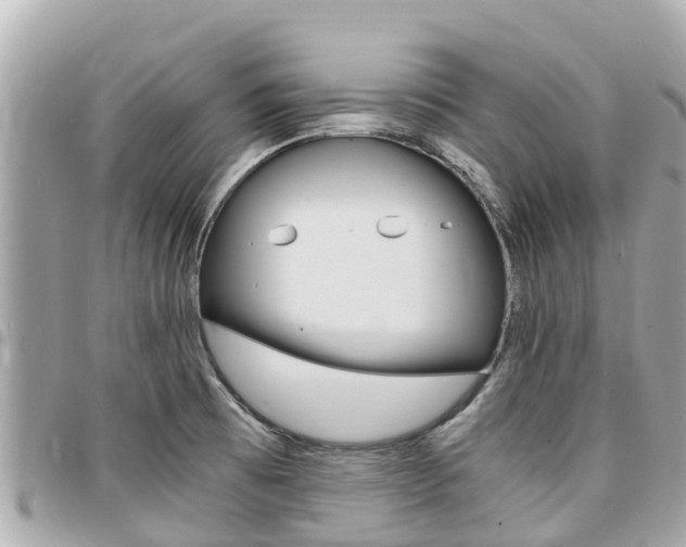 X0000095521473200712140858
