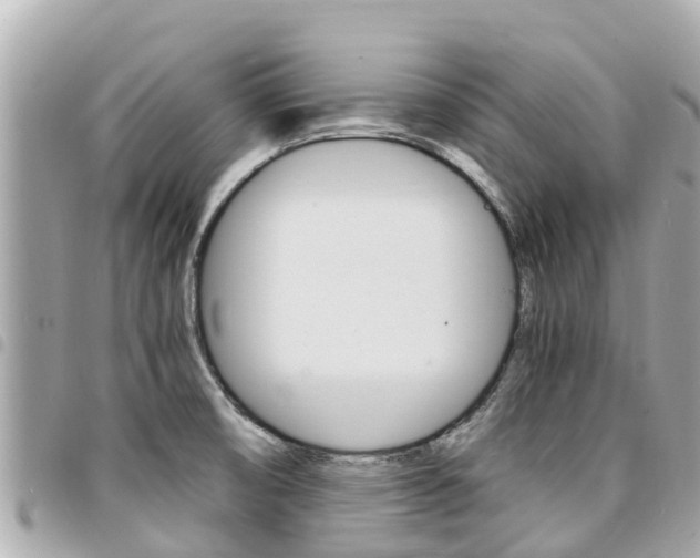 X0000095521474200712140858