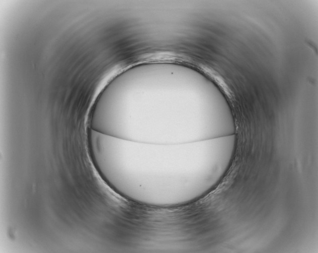 X0000095521475200712140858