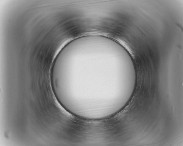 X0000095521476200712140858