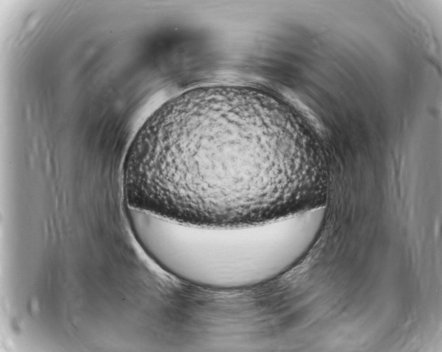 X0000095521479200712140858