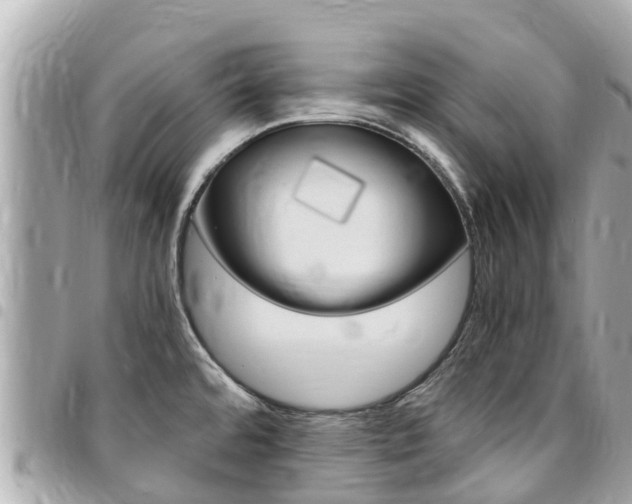 X0000095521480200712140858