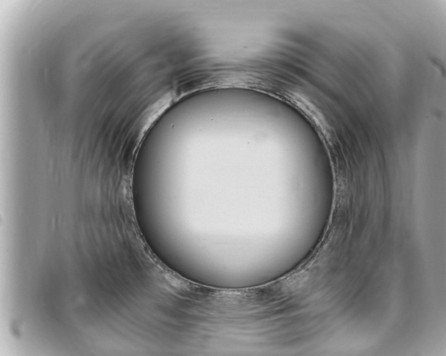 X0000095521481200712140858