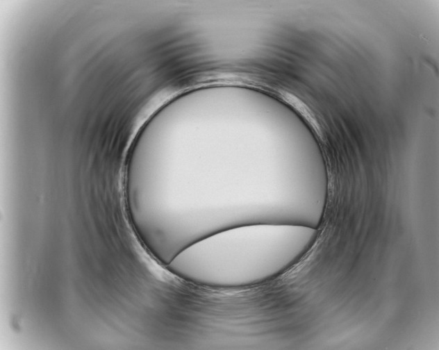 X0000095521482200712140858