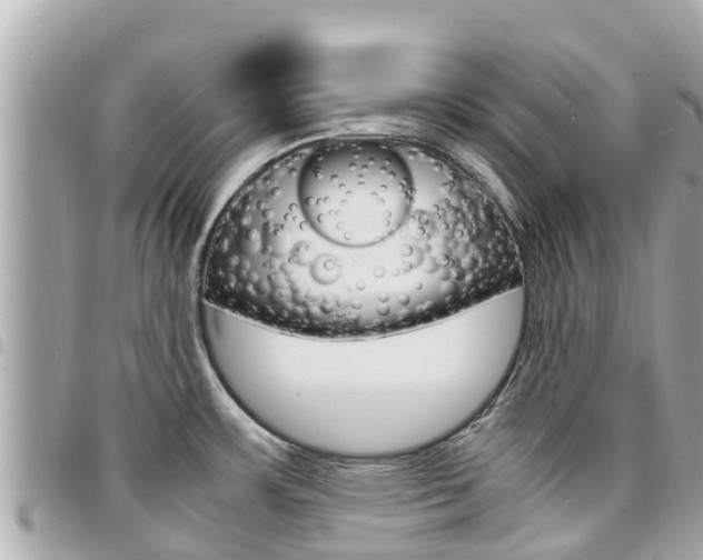 X0000095521483200712140858