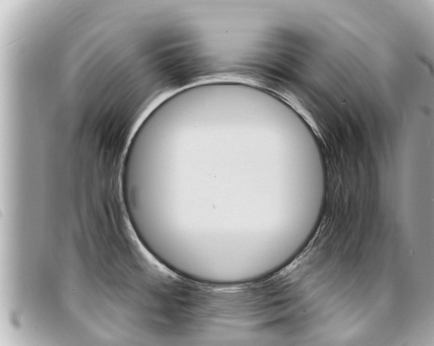 X0000095521484200712140858