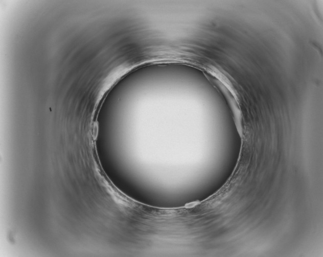 X0000095521485200712140858