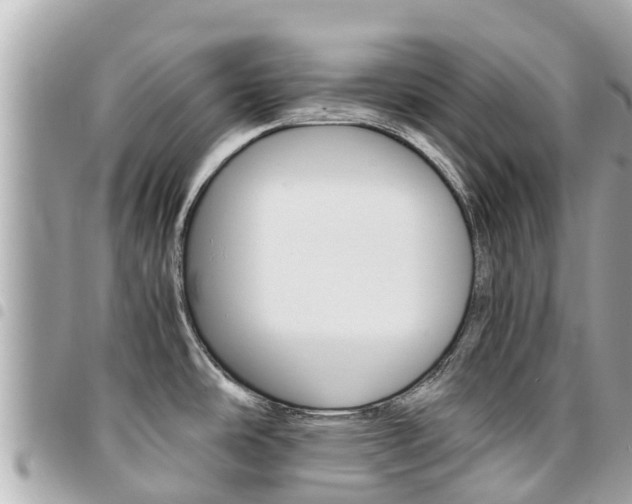 X0000095521486200712140858