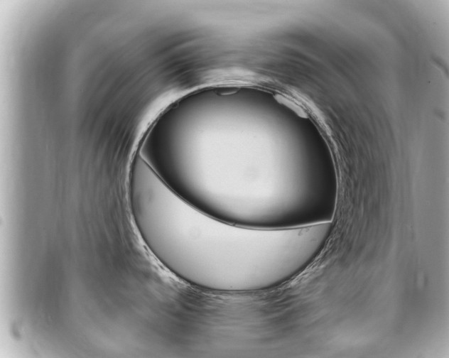 X0000095521488200712140858