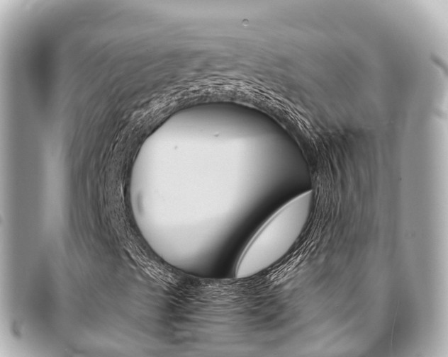 X0000095521489200712140857