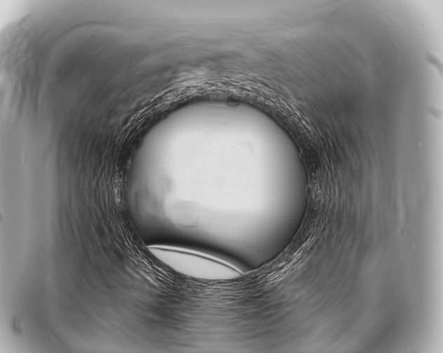 X0000095521490200712140857
