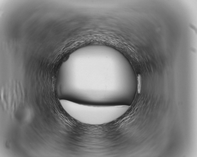 X0000095521491200712140857