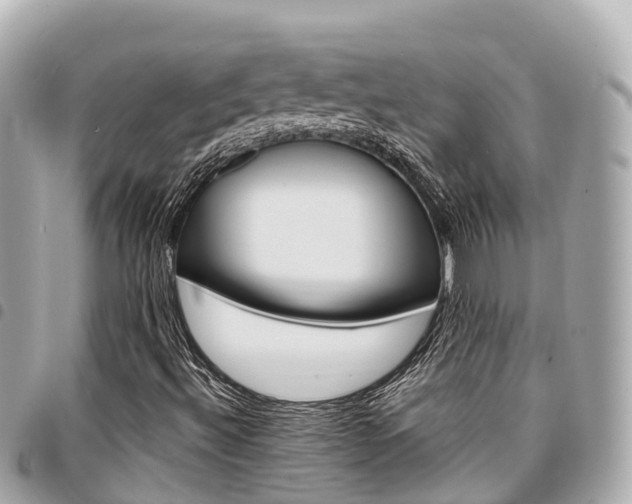 X0000095521492200712140857