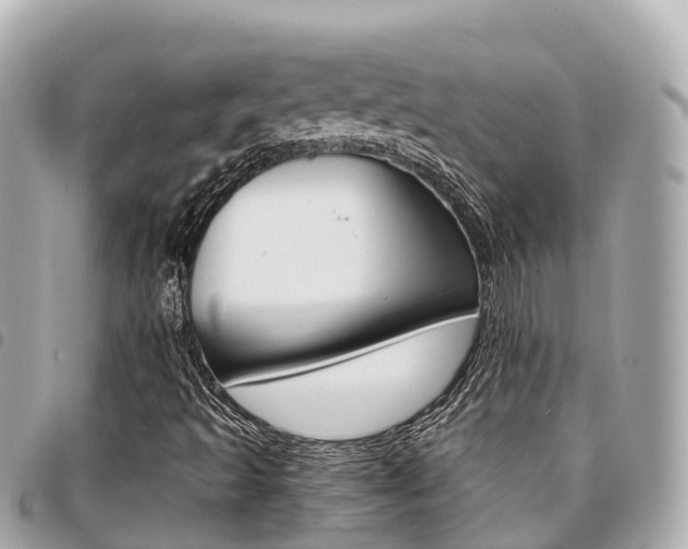 X0000095521493200712140857