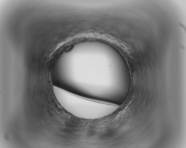 X0000095521494200712140857
