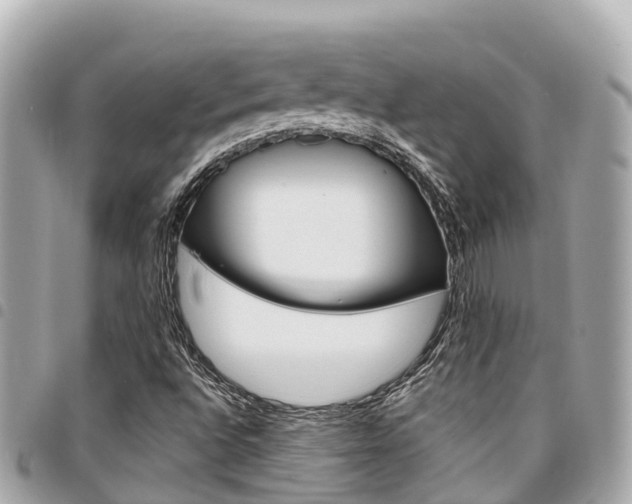 X0000095521496200712140857