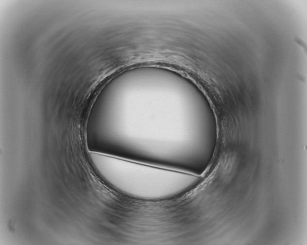 X0000095521497200712140857