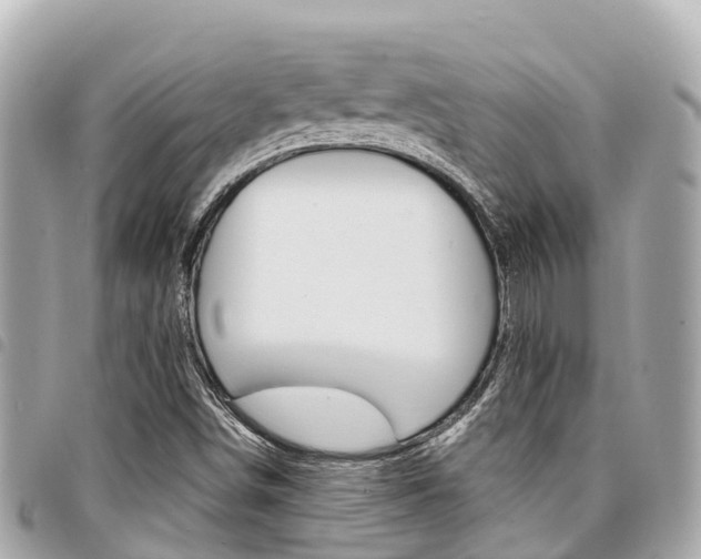 X0000095521498200712140857