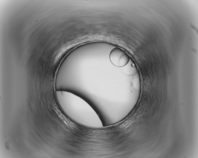 X0000095521499200712140858