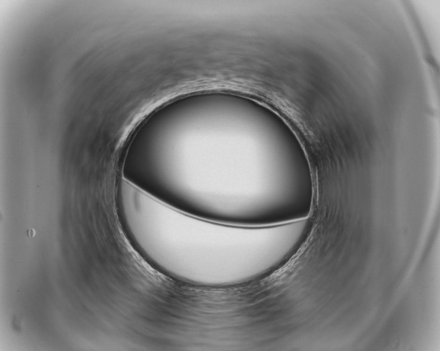 X0000095521500200712140858