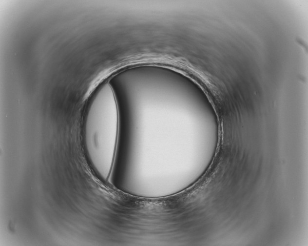 X0000095521501200712140858