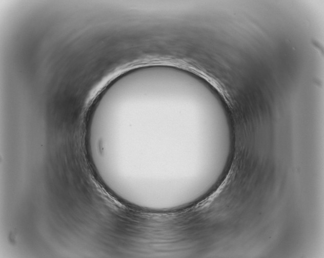 X0000095521502200712140858