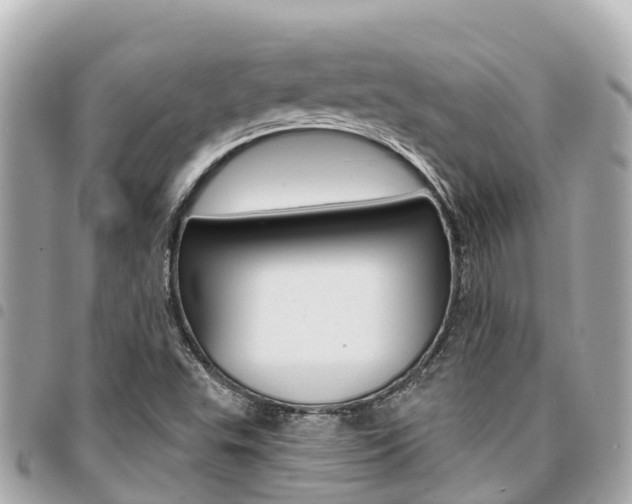 X0000095521503200712140858