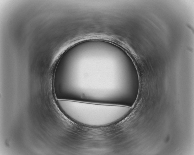 X0000095521504200712140858
