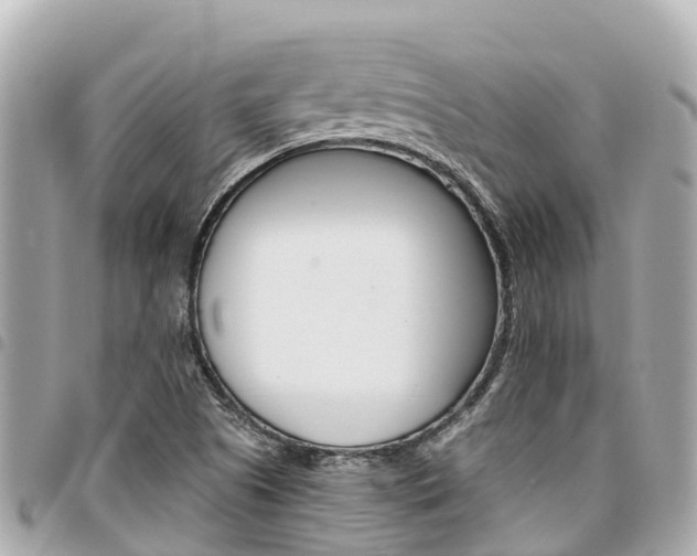 X0000095521505200712140858