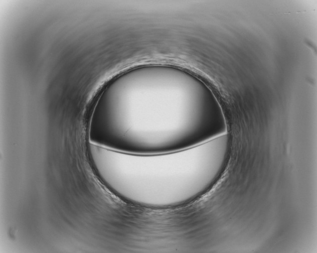 X0000095521506200712140858