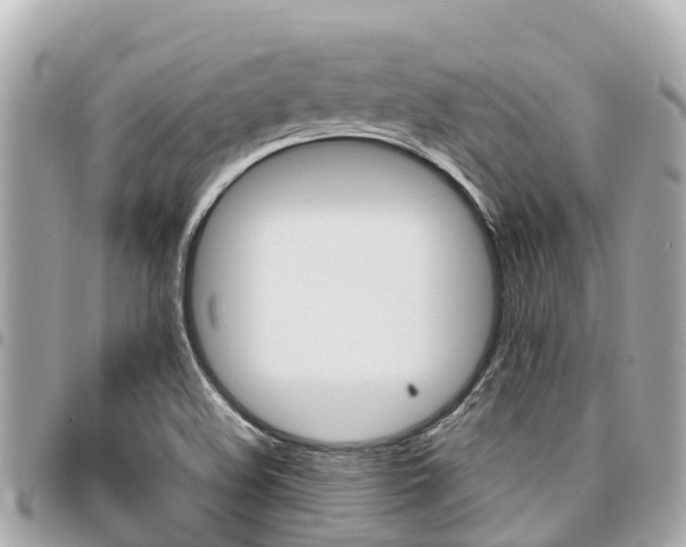 X0000095521508200712140858