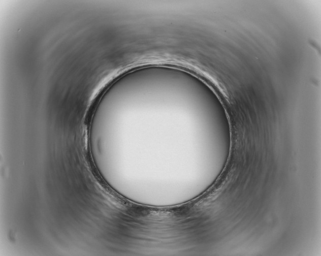 X0000095521509200712140858
