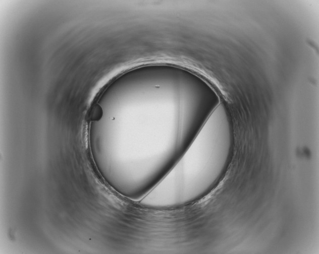 X0000095521510200712140858
