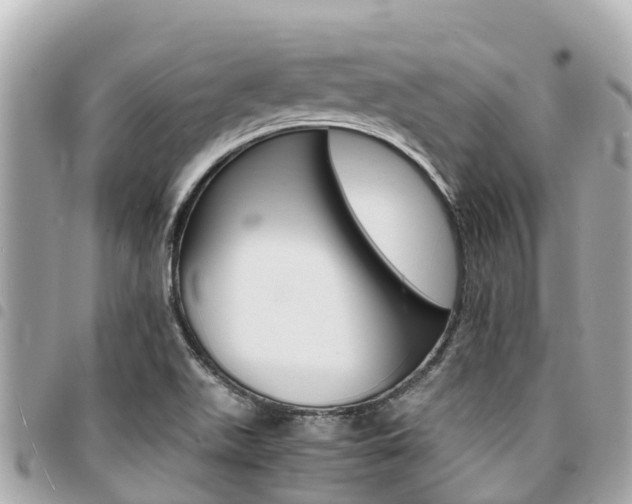 X0000095521511200712140858