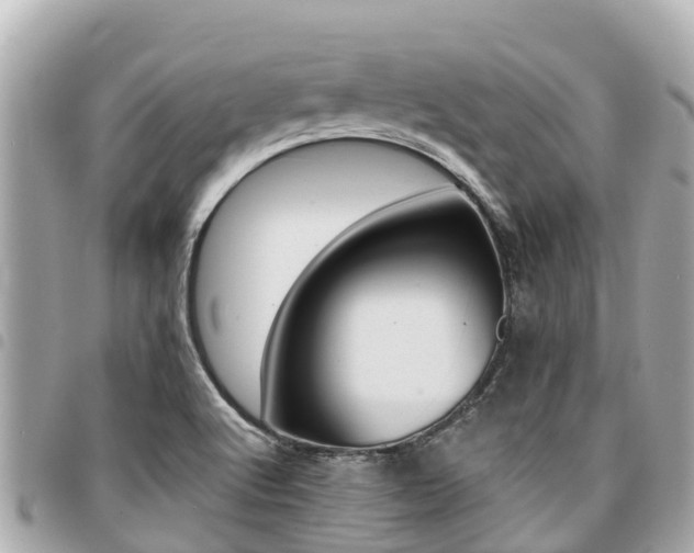 X0000095521512200712140858