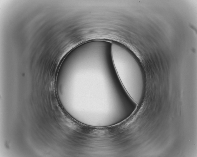 X0000095521513200712140858