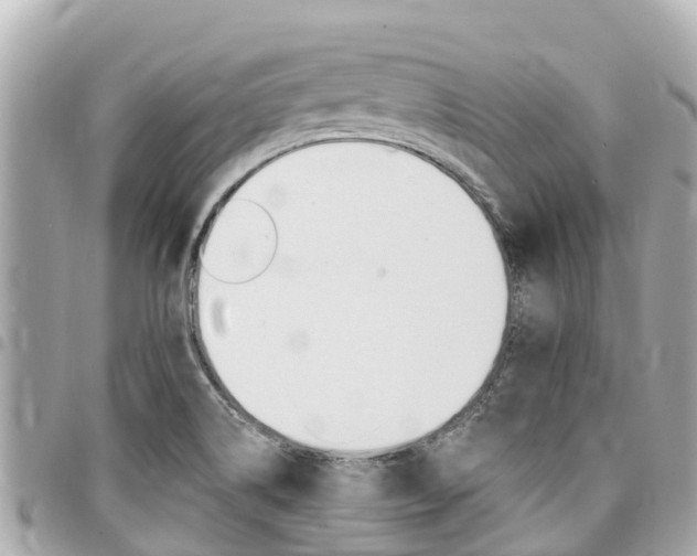X0000095521514200712140858