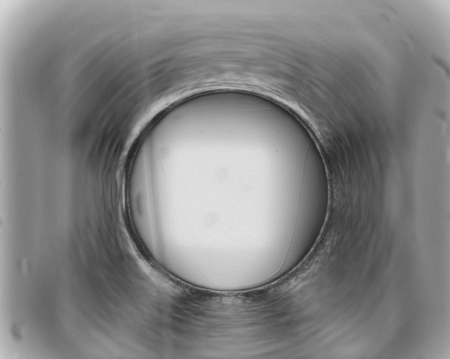 X0000095521515200712140858