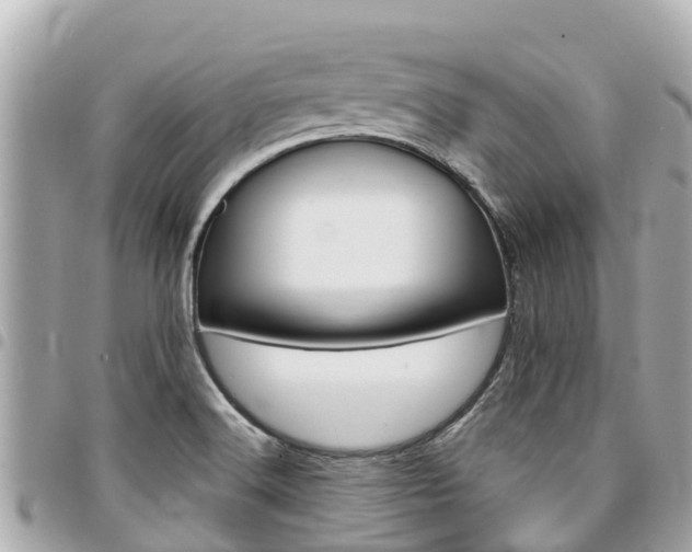 X0000095521516200712140858